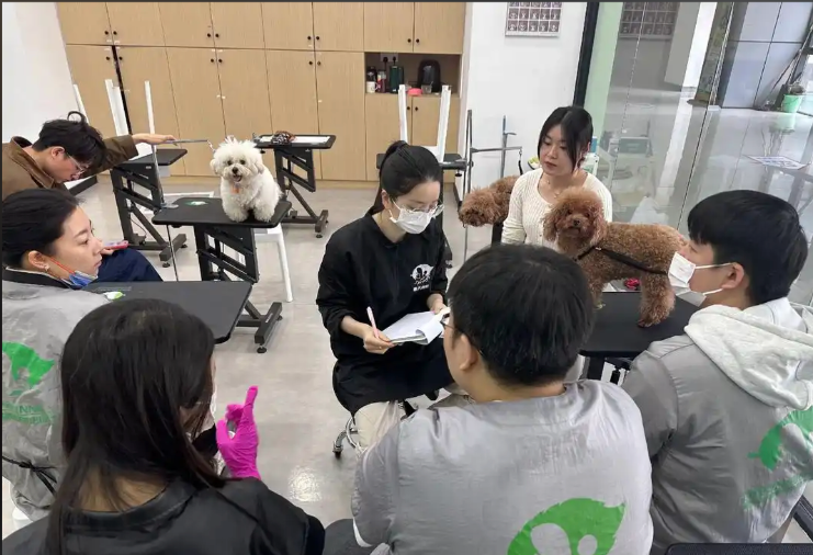 莆田市宠物剪毛宠物美容培训学校 - 方案